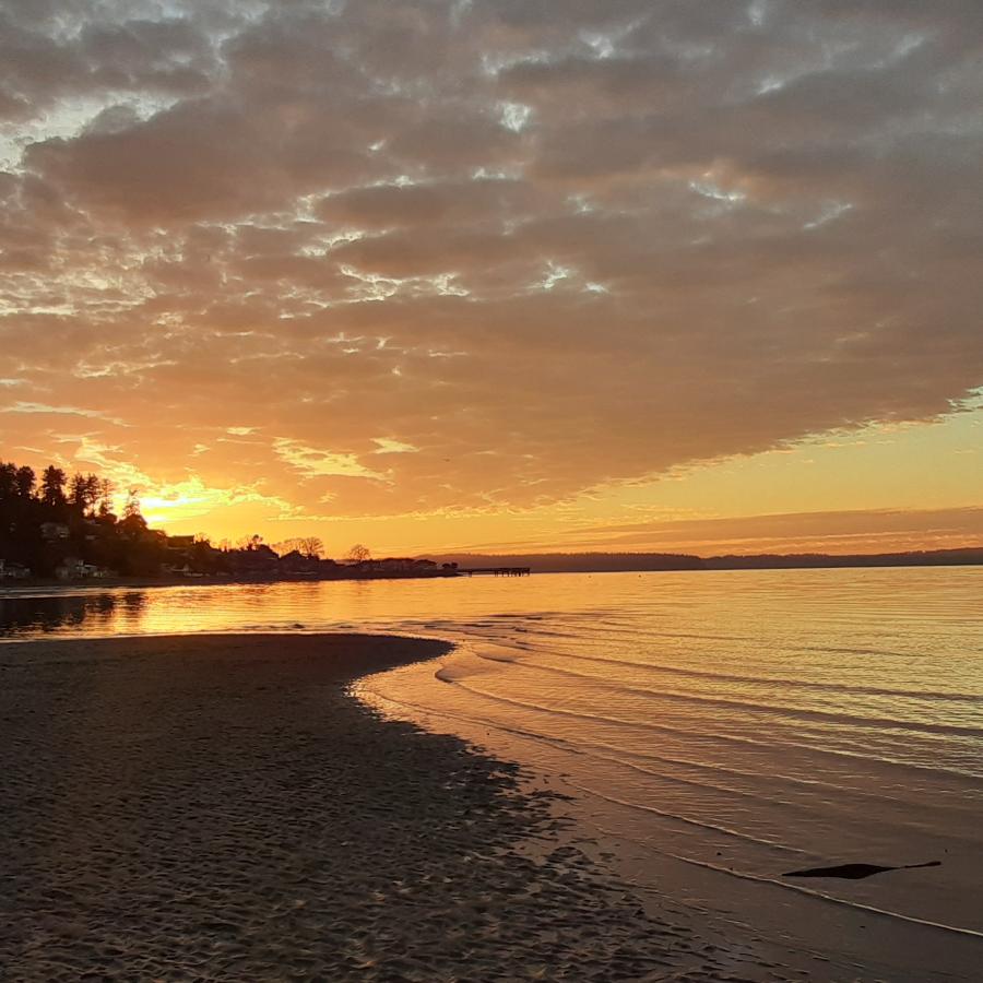 Dash Point State Park - Federal Way, Washington - glamping.directory