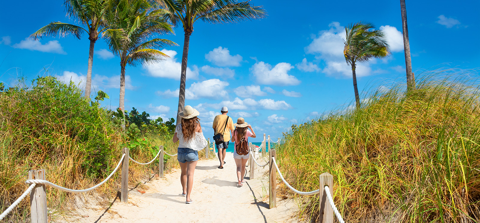 Caladesi RV Park & Propane - Palm Harbor, Florida - glamping.directory