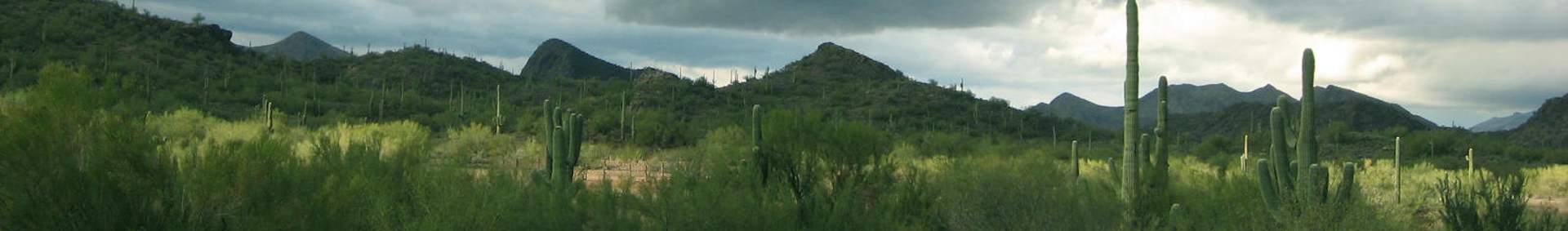 Roadrunner Campground - Peoria, Arizona - glamping.directory