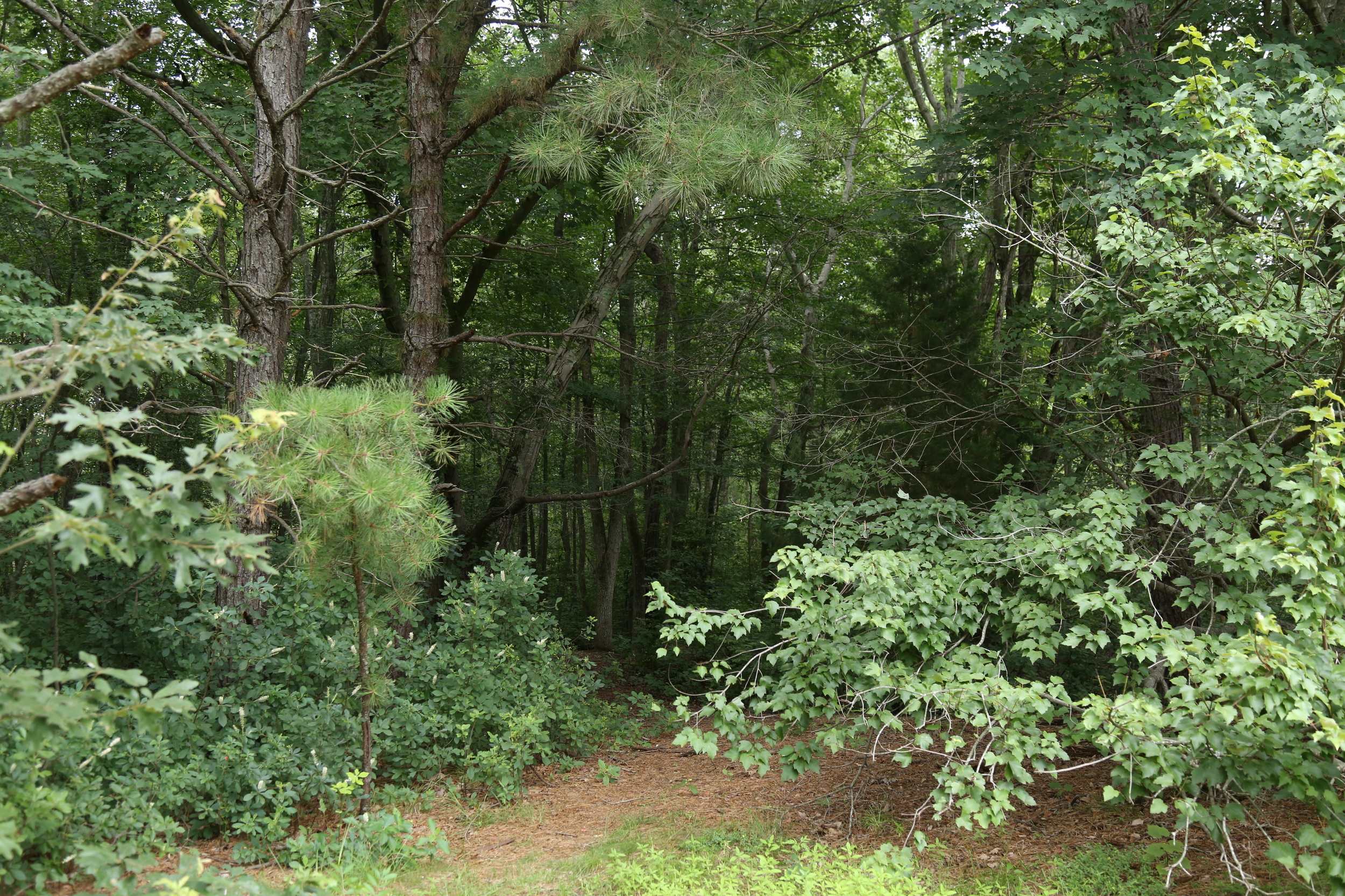 Holiday Haven Campground - Woodbine, New Jersey - glamping.directory