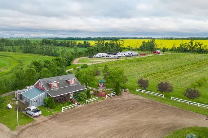 Viking Vines RV Campground - Buffalo, North Dakota - glamping.directory