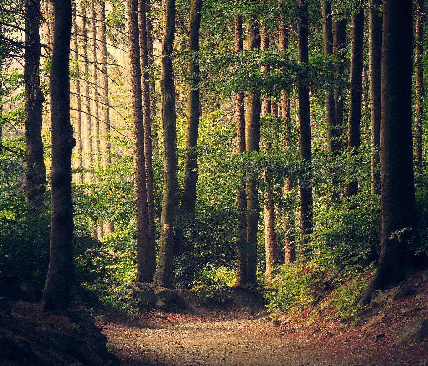 Jim Thorpe Camp Resort - Jim Thorpe, Pennsylvania - glamping.directory