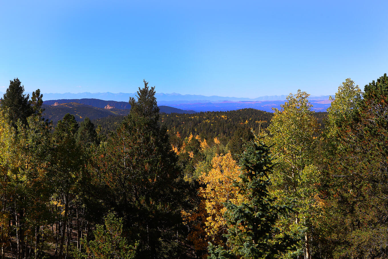 Mueller State Park - Divide, Colorado - glamping.directory