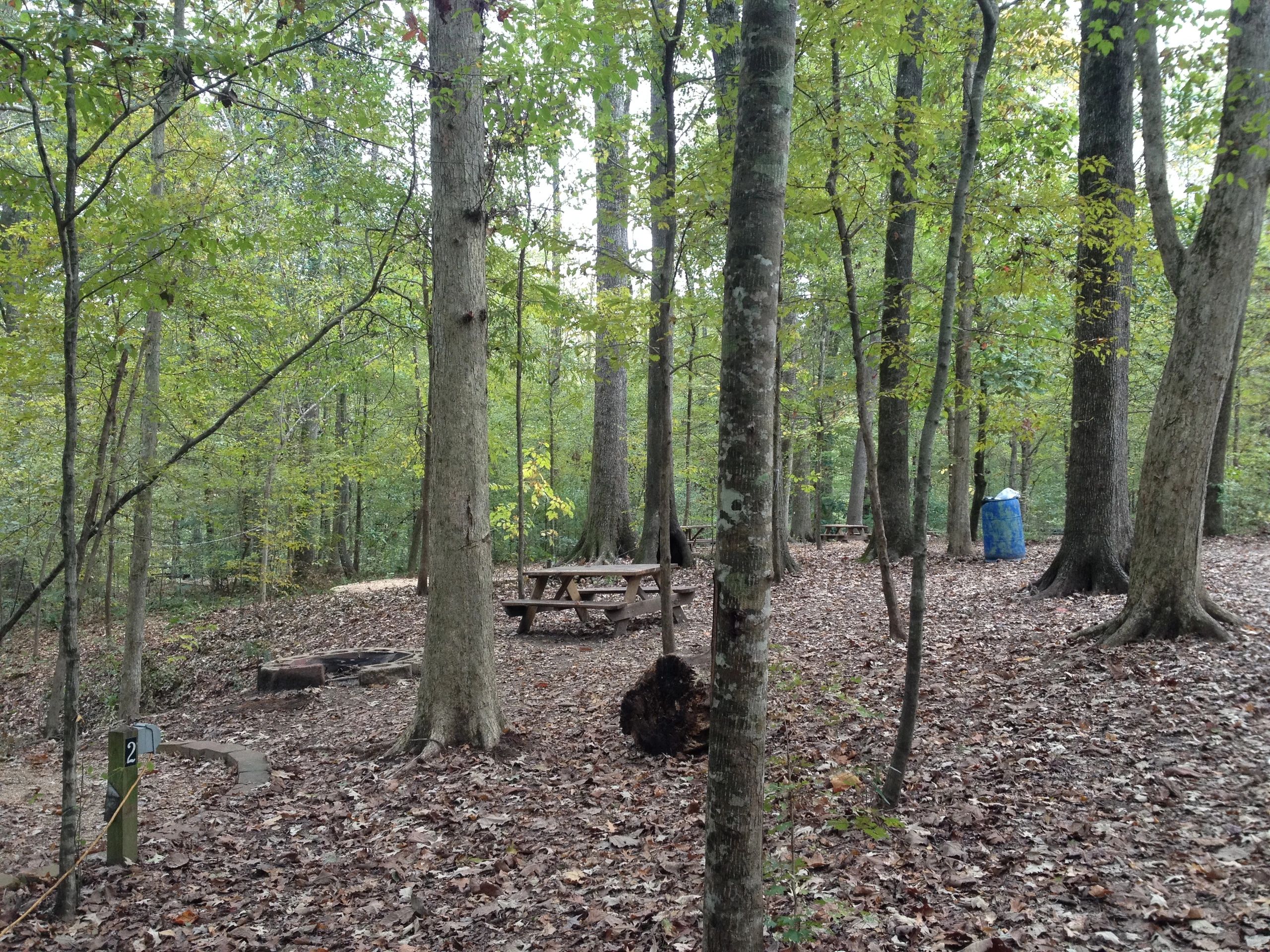Tunica Hills Campground - St Francisville, Louisiana - glamping.directory