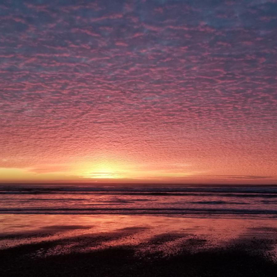 Grayland Beach State Park - Grayland, Washington - glamping.directory
