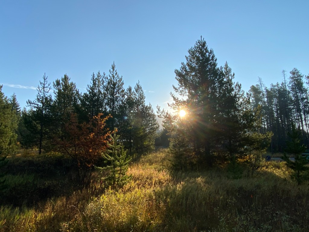 Aspen Hollow Camping & Cabins - Columbia Falls, Montana - glamping.directory