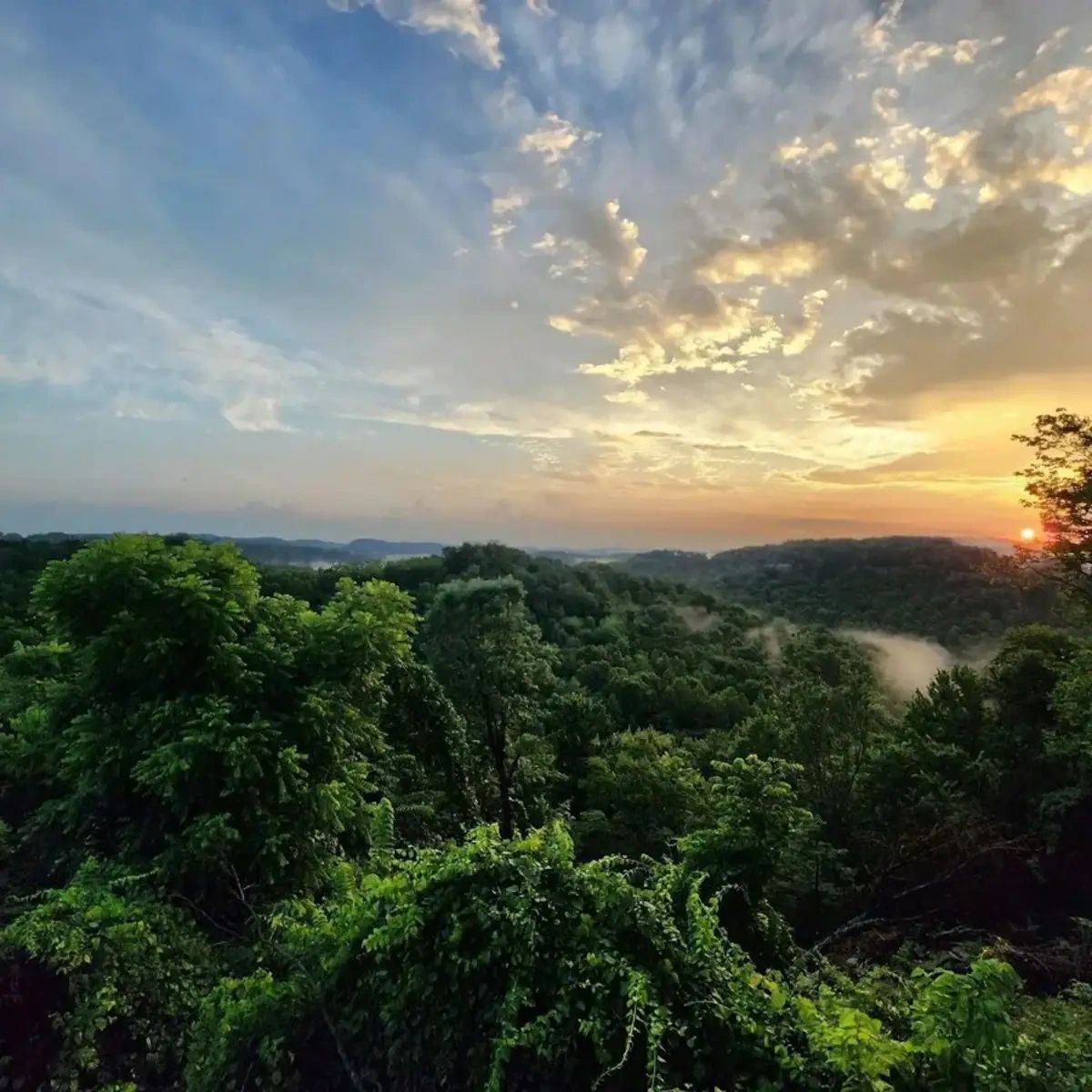 Perfect Escape Cabin Rentals - Frenchburg, Kentucky - glamping.directory