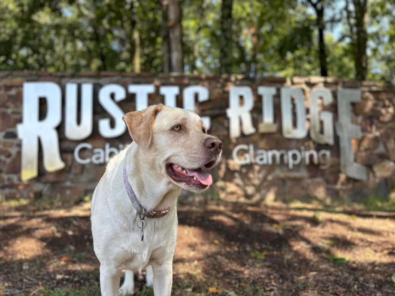 Rustic Ridge | RV Park in NWA - Gentry, Arkansas - glamping.directory