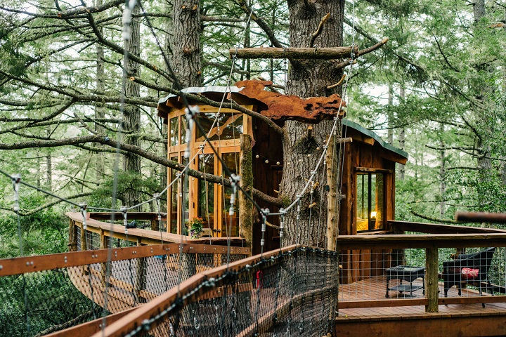 Eagles Nest Treehouse - Bodega Bay, California - glamping.directory