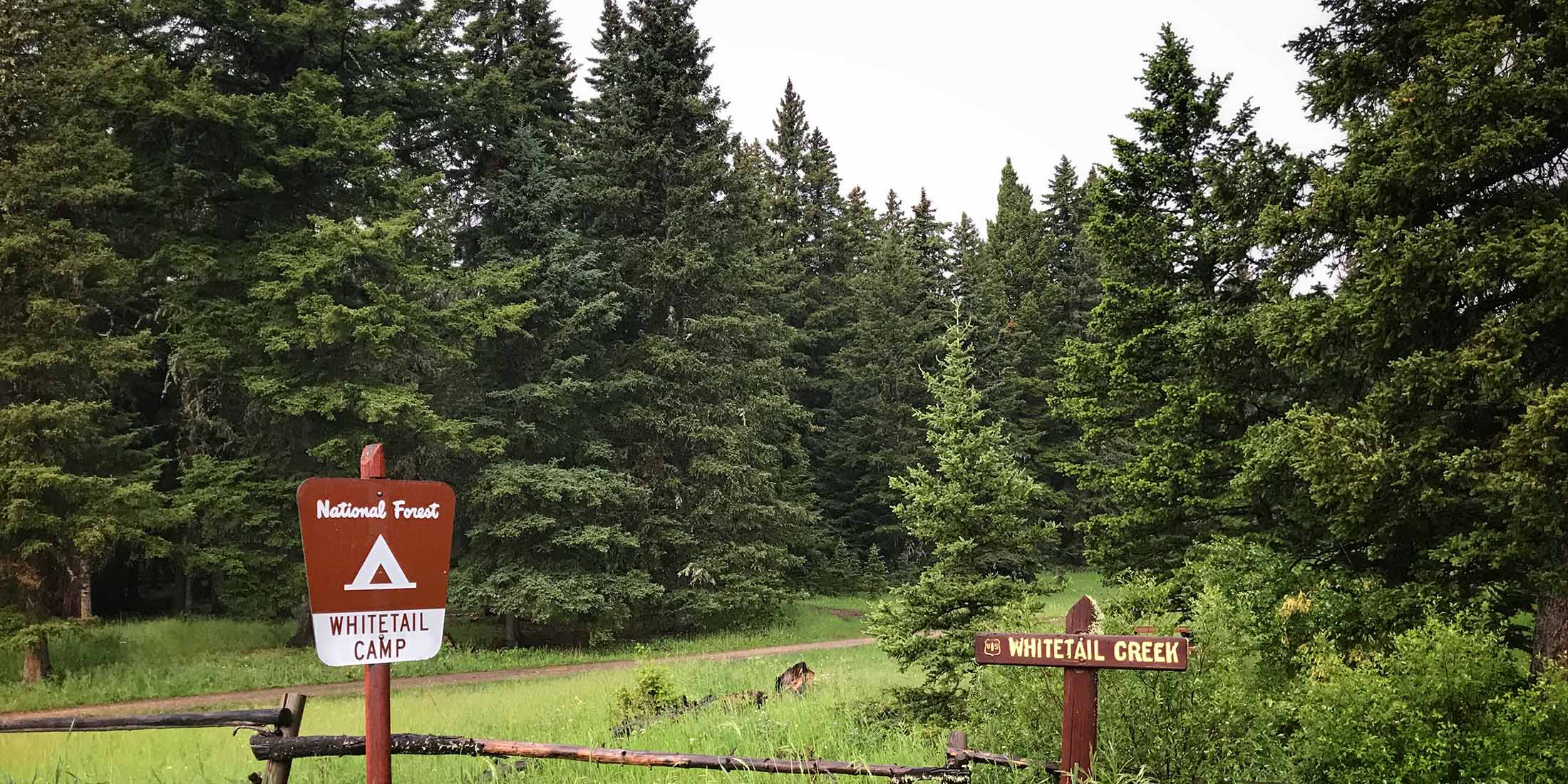 Whitetail Camp Campground - Martinsdale, Montana - glamping.directory