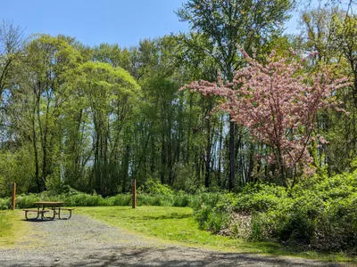 Stan Hedwall RV Park - Chehalis, Washington - glamping.directory