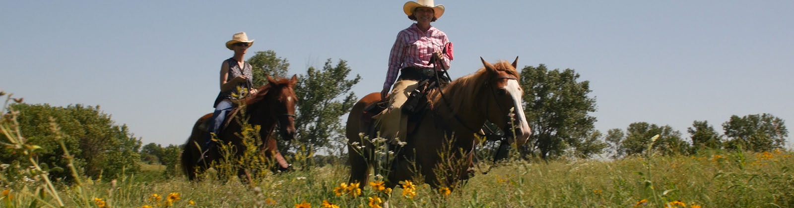 Prairie Clover Campground - Lawrence, Kansas - glamping.directory