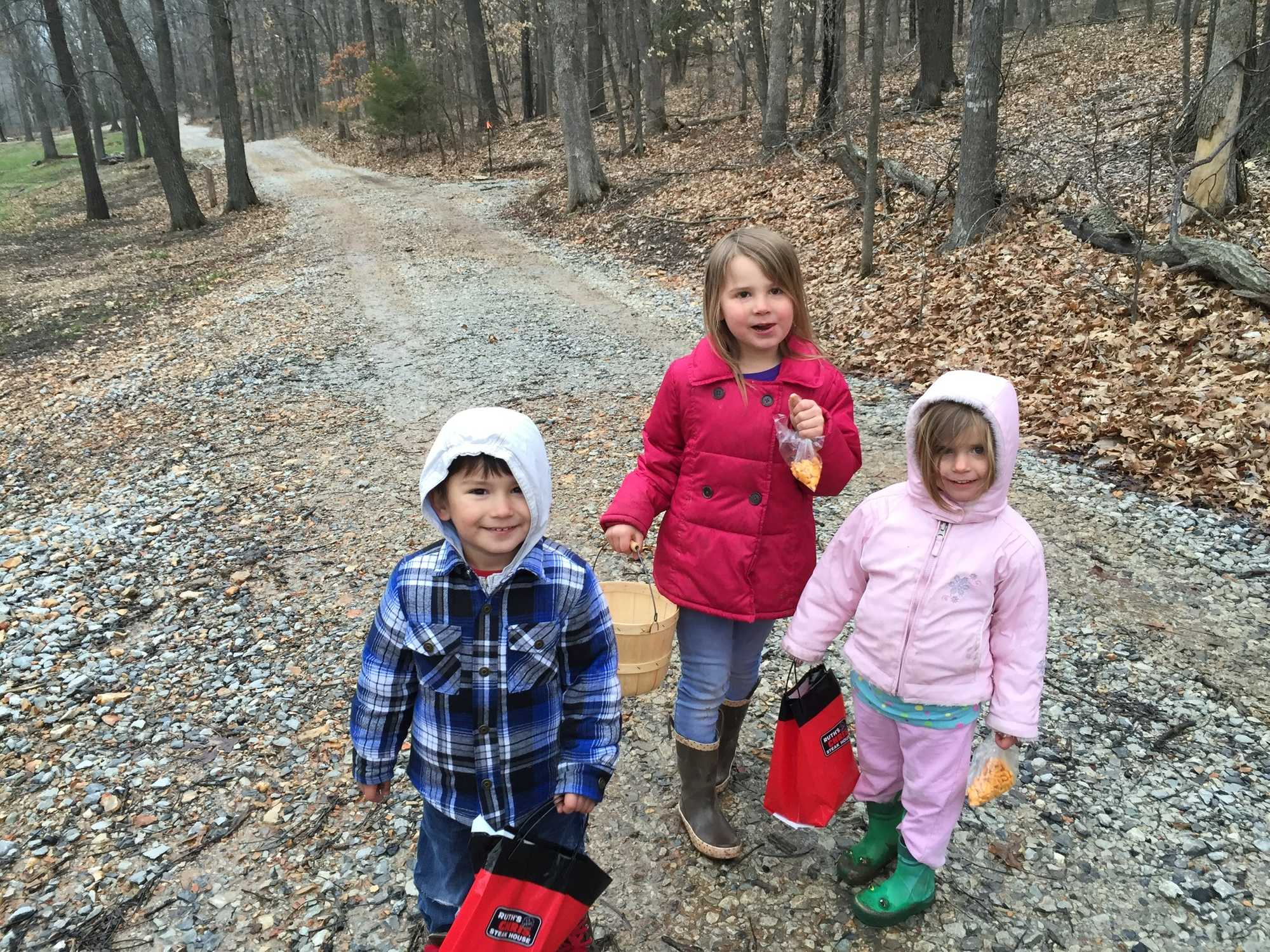 Terra Rose Campsite - Gravette, Arkansas - glamping.directory
