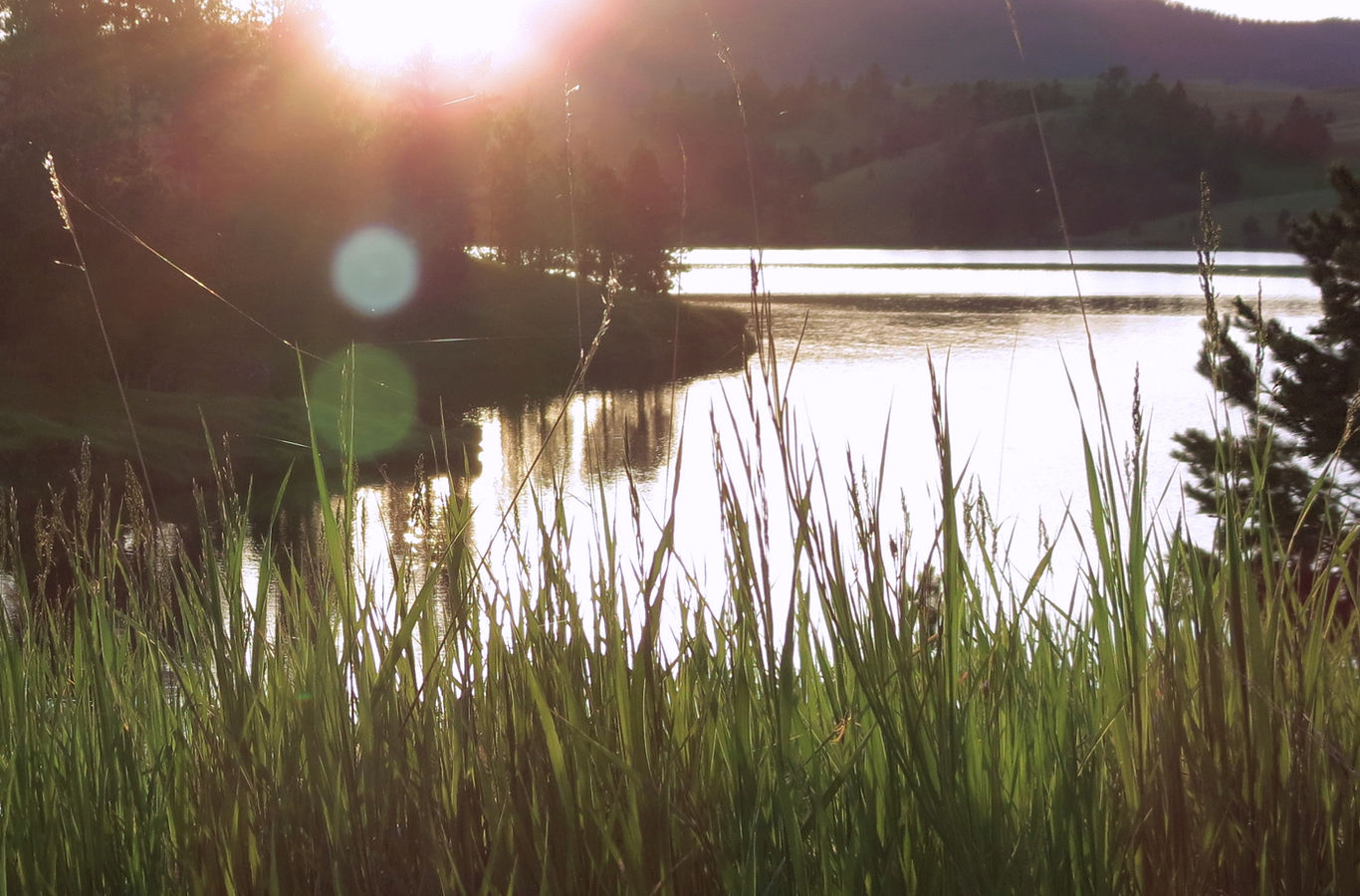 Mt Meadow Store & Campground - Hill City, South Dakota - glamping.directory