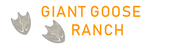 Giant Goose Ranch - Canton, Illinois - glamping.directory