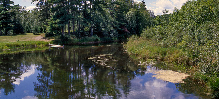Paddle In Campsites - Pine River, Minnesota - glamping.directory