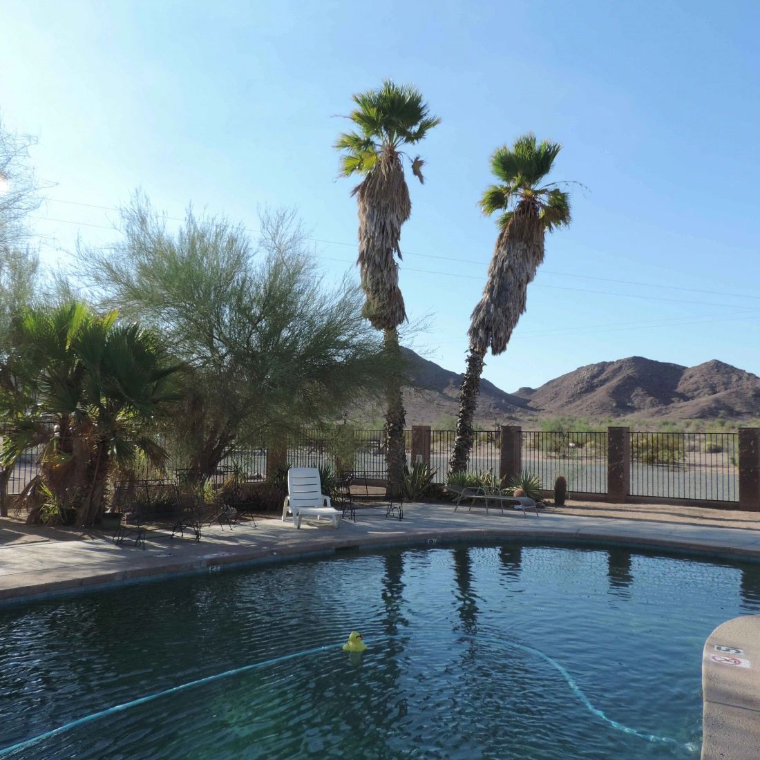 Oasis RV Park at Aztec Hills - Dateland, Arizona - glamping.directory