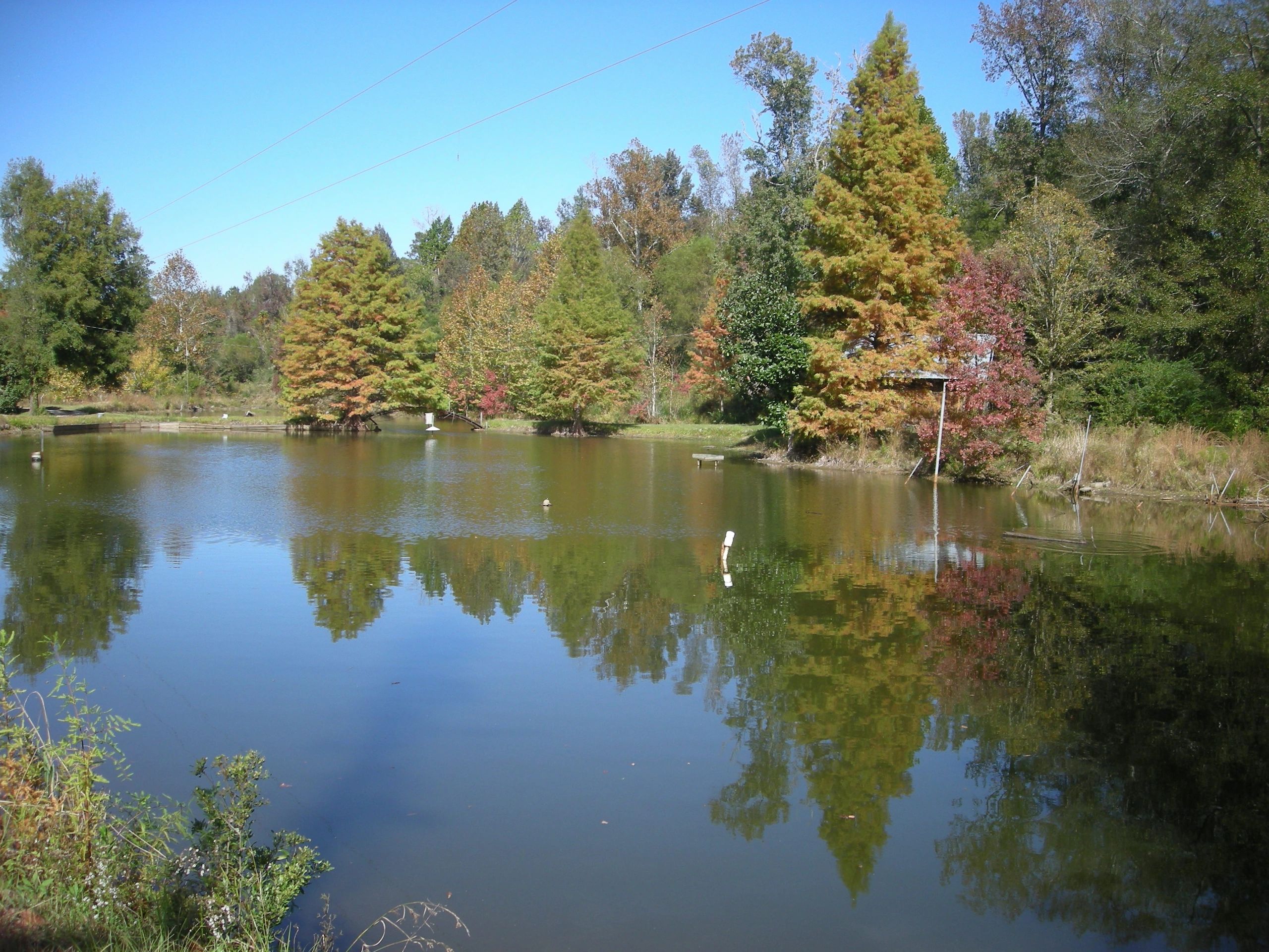 Lake Eufaula Campground - Eufaula, Alabama - glamping.directory