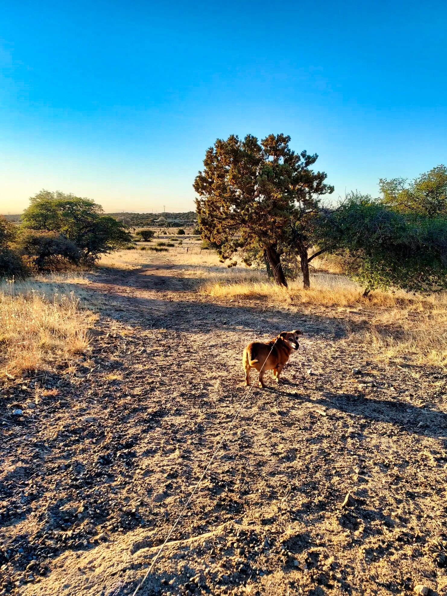 Ridge Park RV - Silver City, New Mexico - glamping.directory