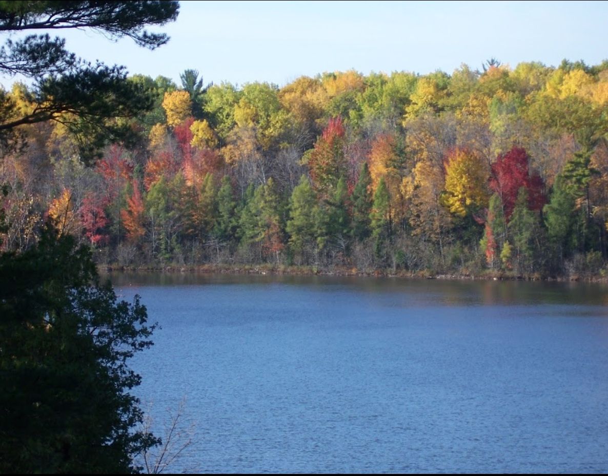 Woodlands Acres Campground - Hale, Michigan - glamping.directory