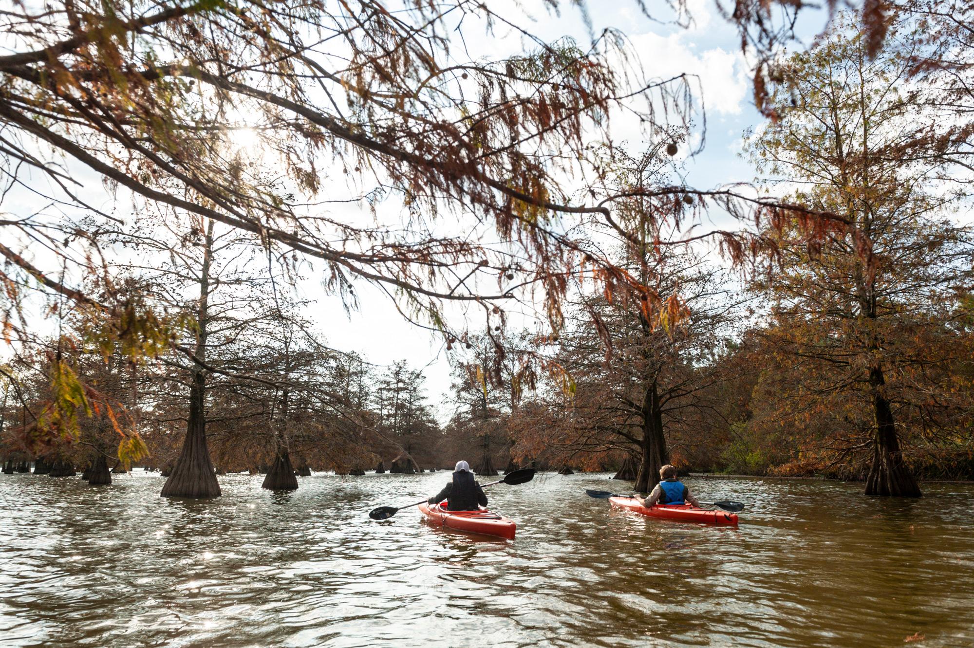 Lake Chicot State Park - Lake Village, Arkansas - glamping.directory