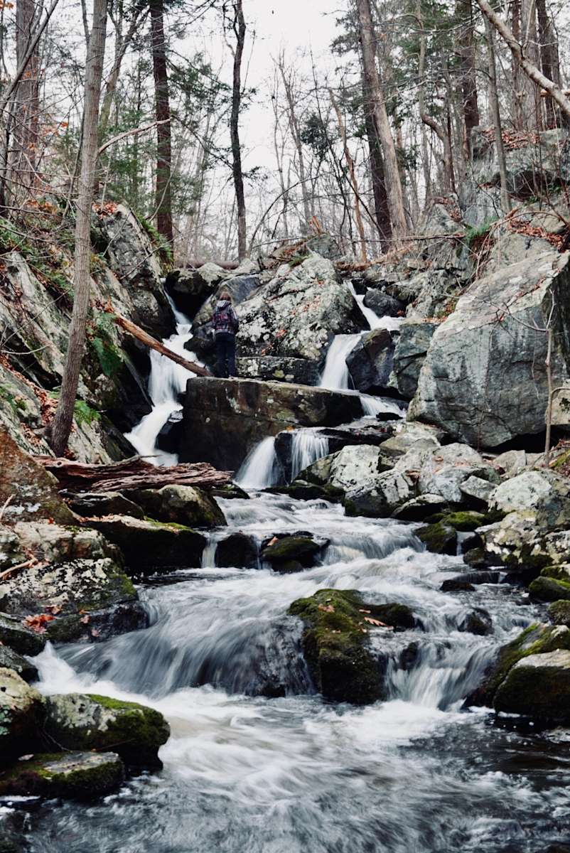 Paradise Valley Homestead - Oak Ridge, New Jersey - glamping.directory