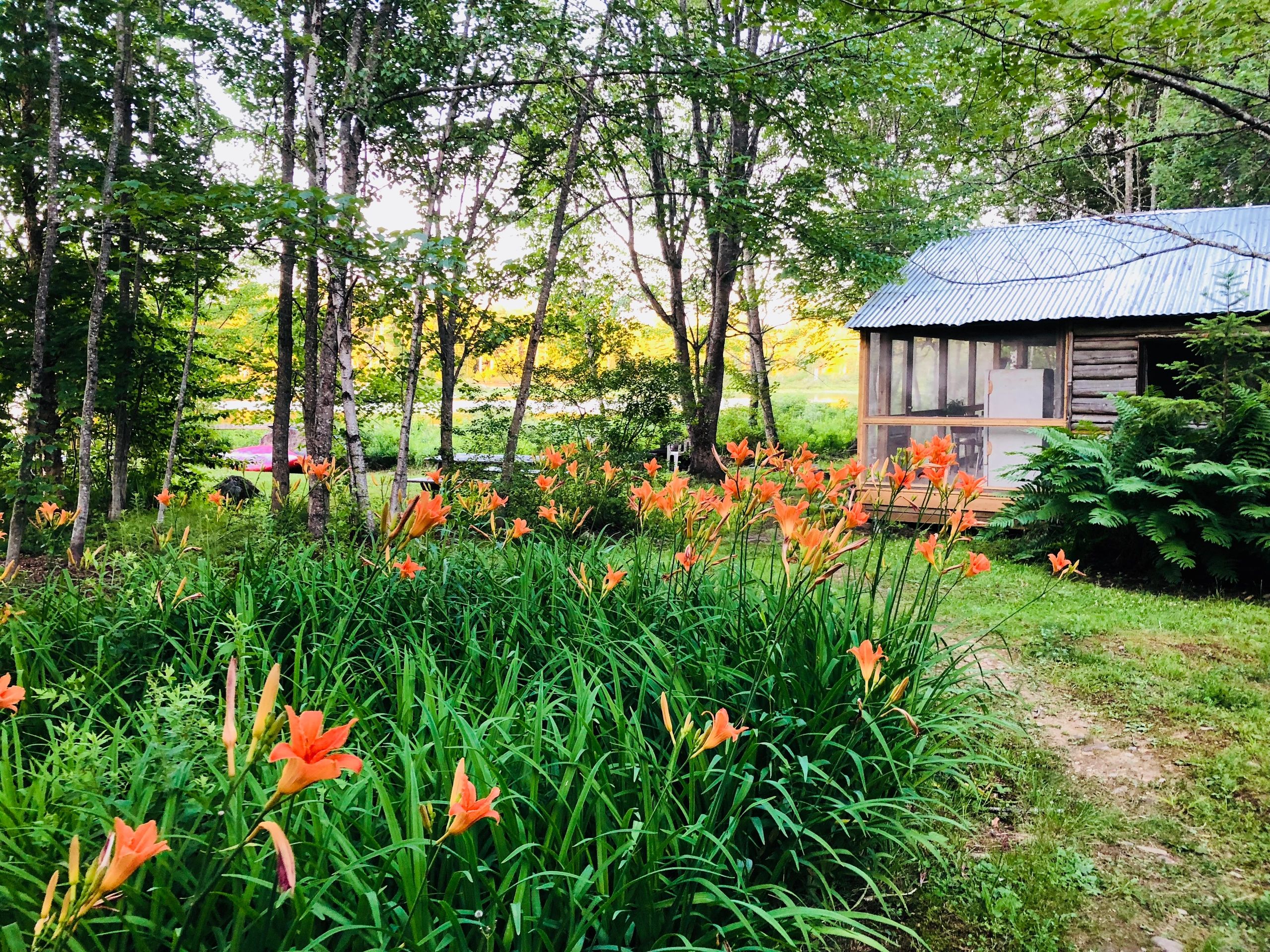 Cole's Moosehorn Cabins - Brownville, Maine - glamping.directory