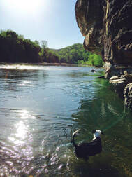 Buffalo River Cabin Rentals - Yellville, Arkansas - glamping.directory
