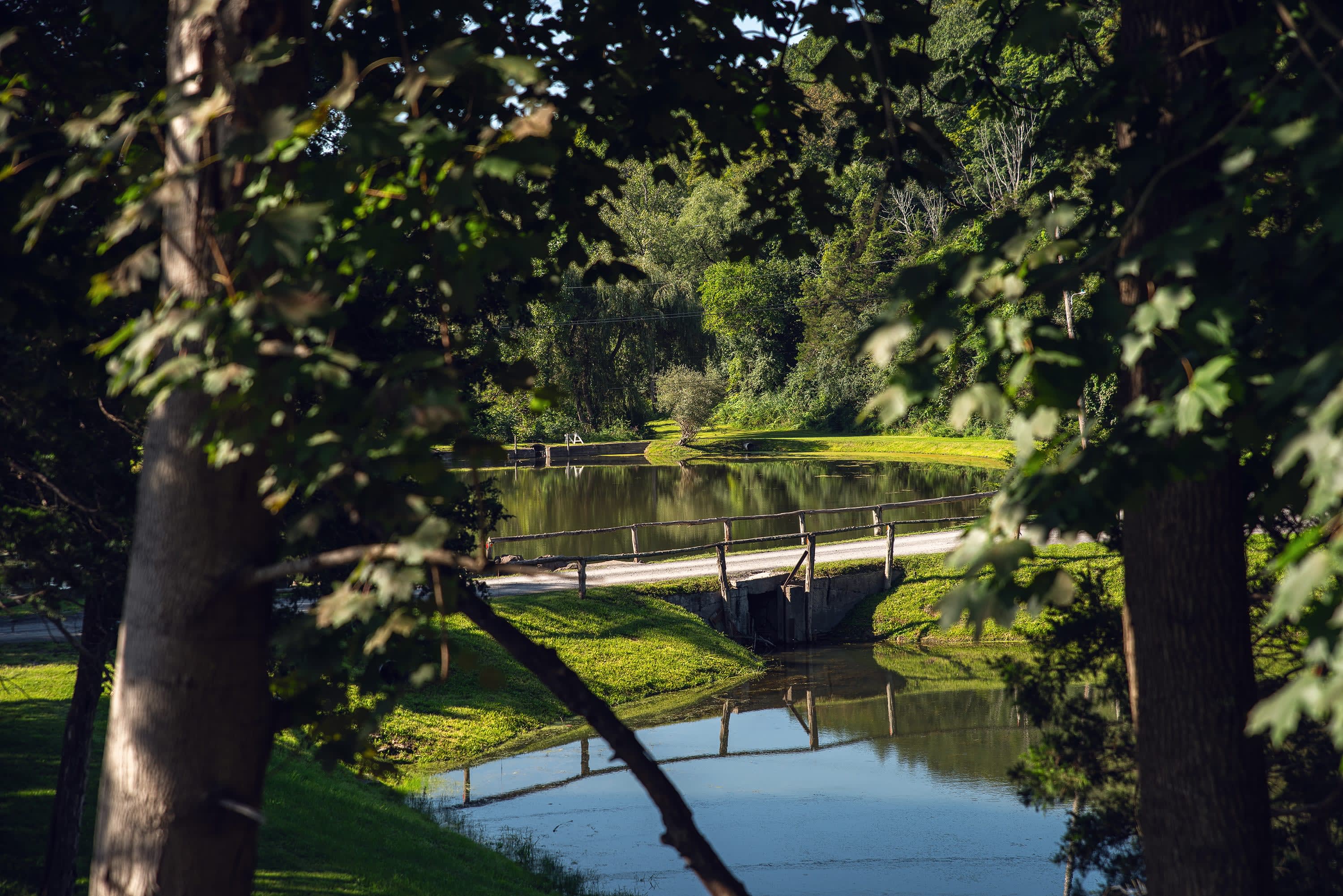 Camp Catskills RV Park - Catskill, New York - glamping.directory