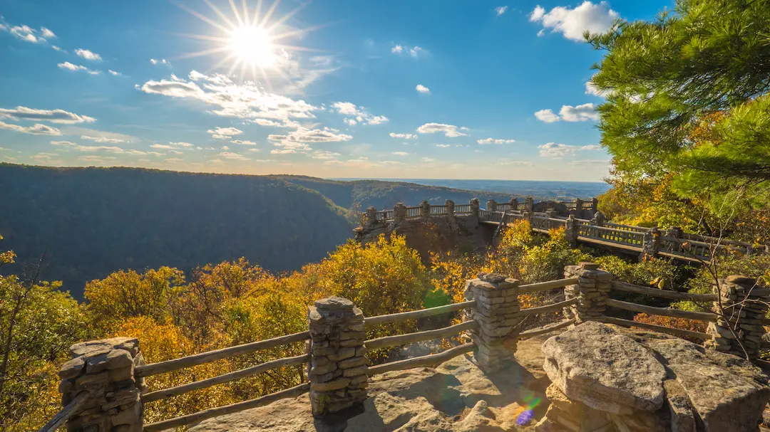 Coopers Rock State Forest - Bruceton Mills, West Virginia - glamping.directory