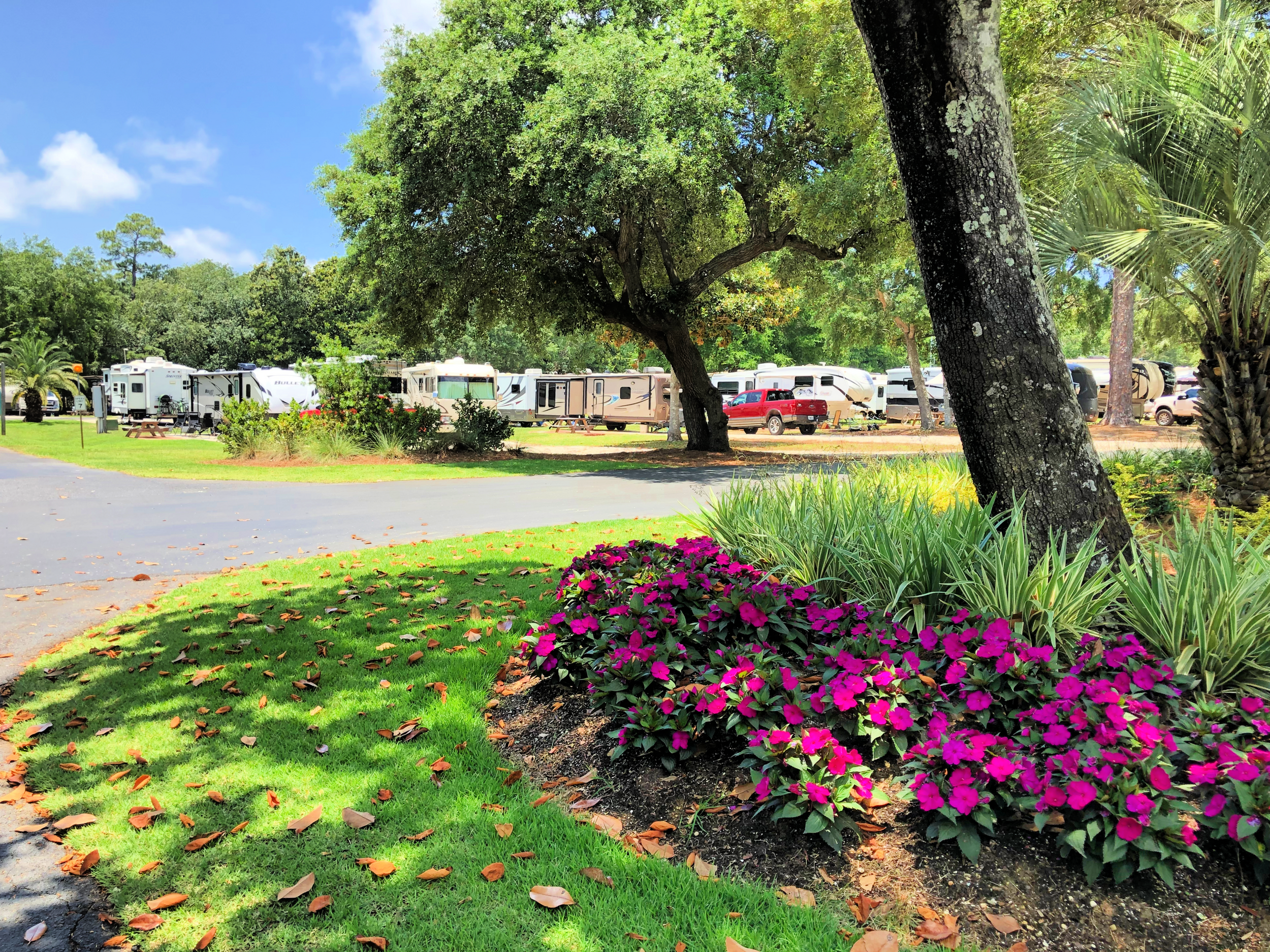 Island Retreat RV Park - Gulf Shores, Alabama - glamping.directory