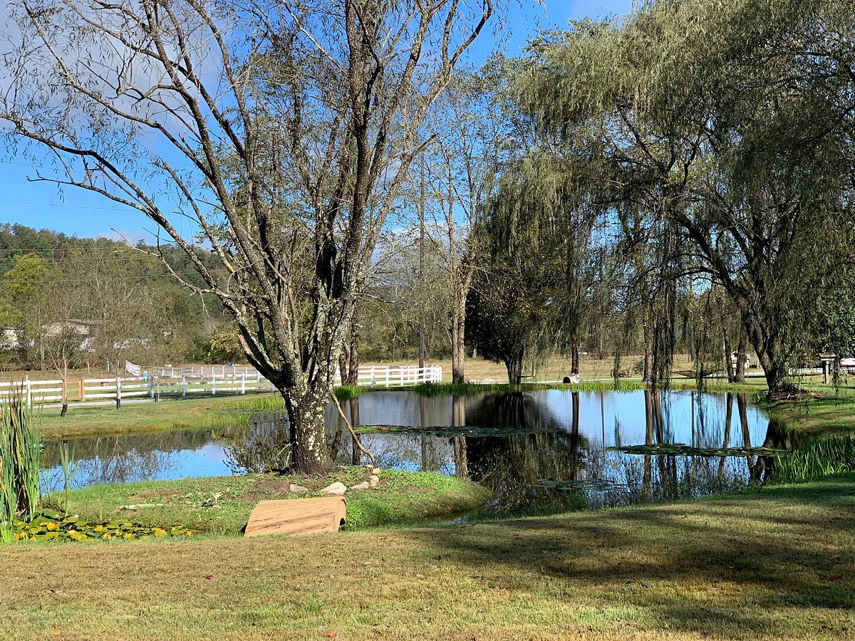 Willow Valley RV Resort - Rabun Gap, Georgia - glamping.directory