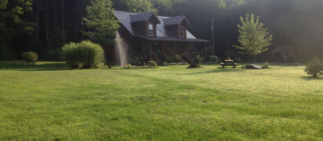Cabins at Cook Forest - Leeper, Pennsylvania - glamping.directory