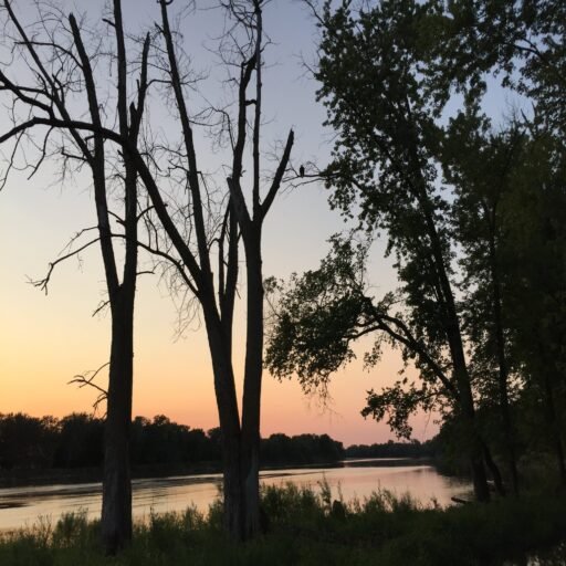 Cedar River Campground - Tipton, Iowa - glamping.directory