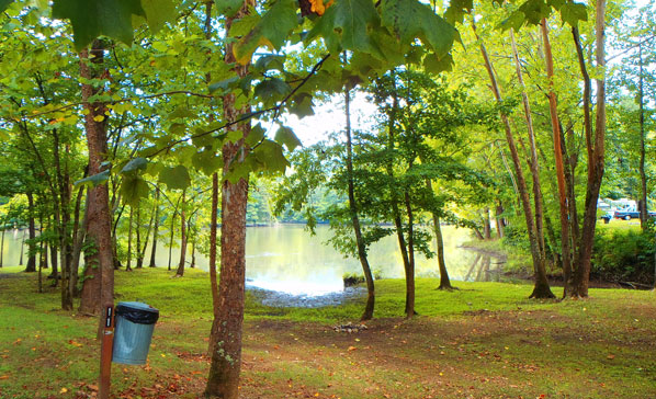 Soaring Eagle Campground & RV Park - Lenoir City, Tennessee - glamping.directory