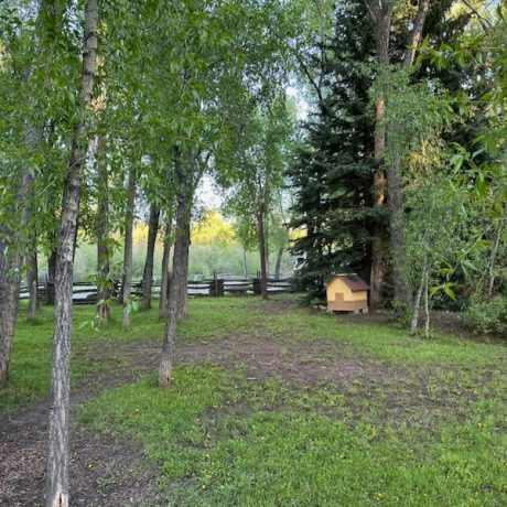 Rio Chama RV Park - Chama, New Mexico - glamping.directory
