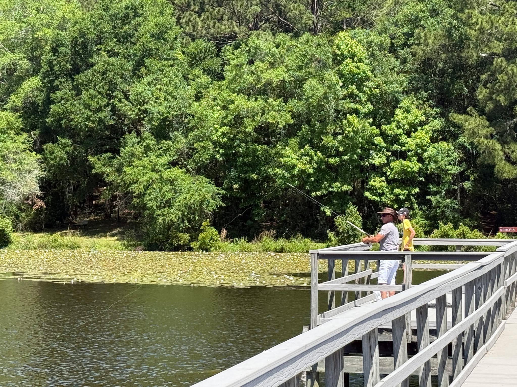 Frank Jackson State Park - Opp, Alabama - glamping.directory