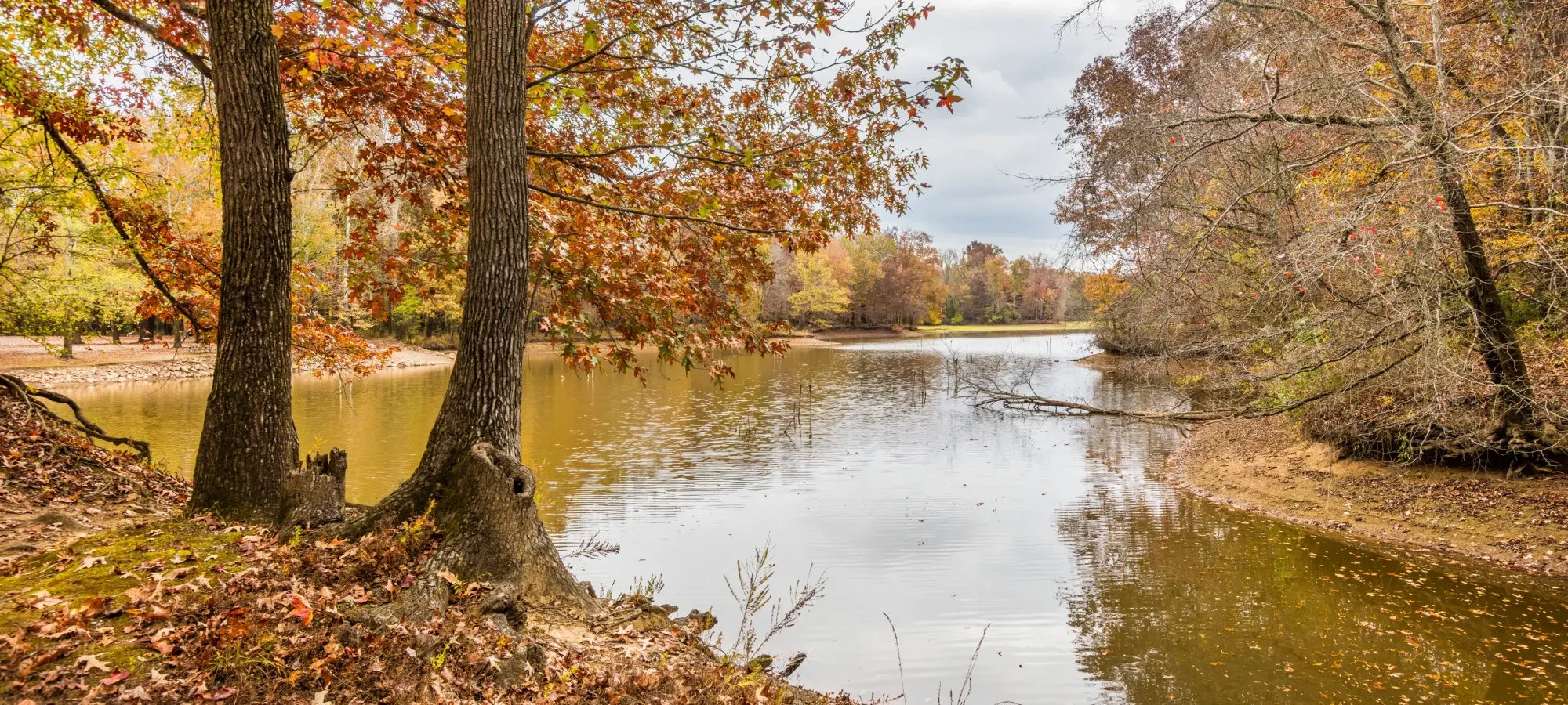 Mousetail Landing State Park - Linden, Tennessee - glamping.directory