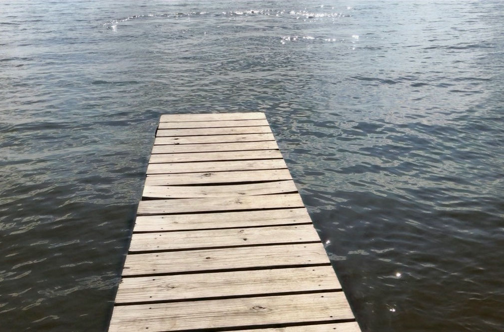 Naylor's Beach Campground Inc - Warsaw, Virginia - glamping.directory