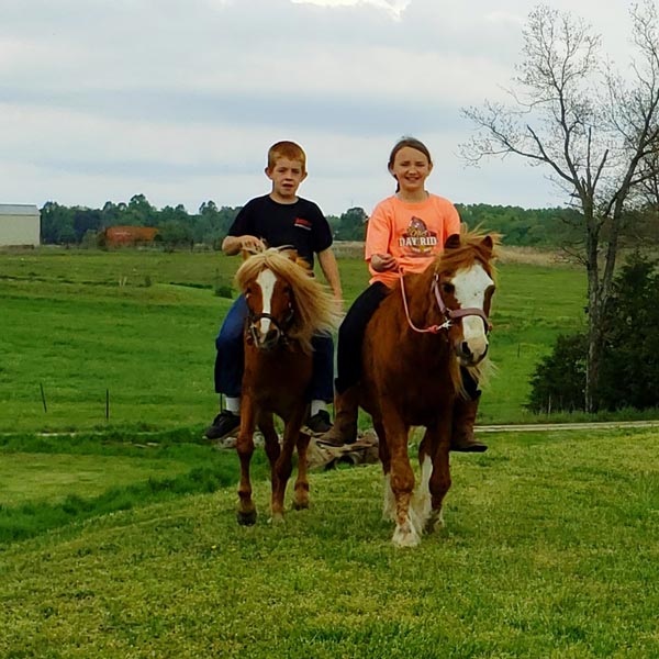 LITTLE LUSK TRAIL LODGE CAMPGROUND - Stonefort, Illinois - glamping.directory