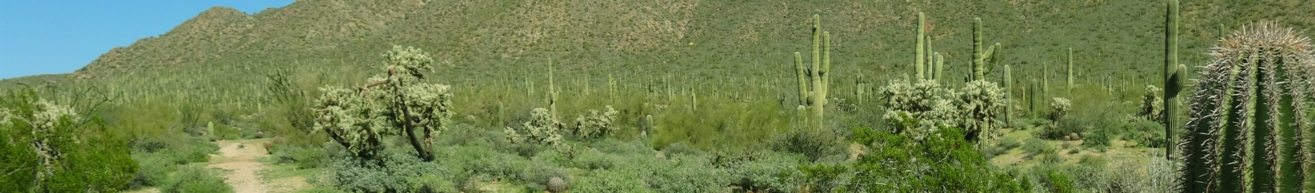 Usery Park Campground - Mesa, Arizona - glamping.directory