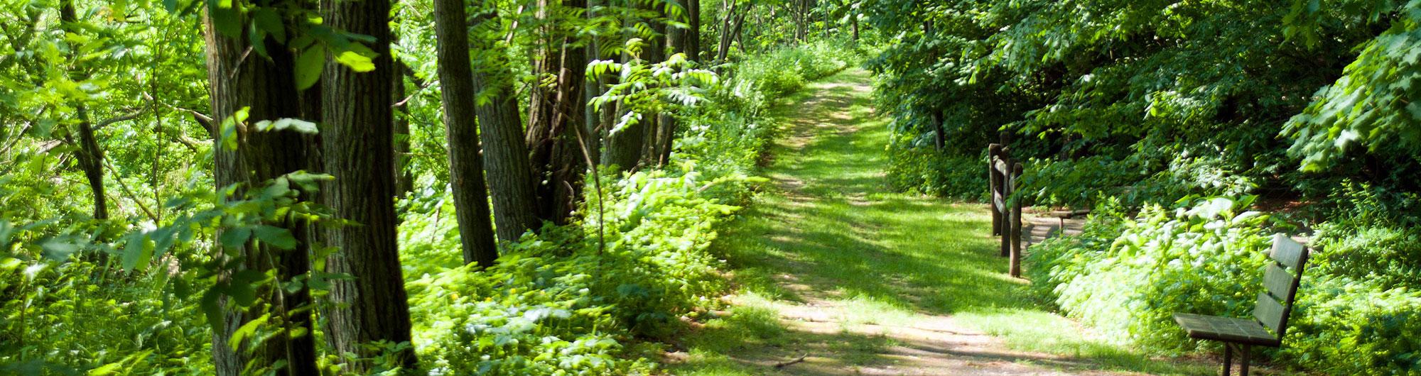 Wilgus State Park - Springfield, Vermont - glamping.directory