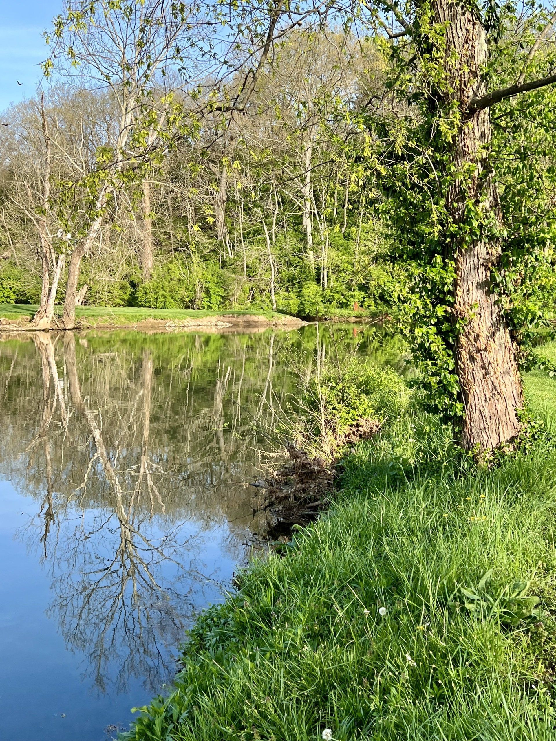 Elkhorn Creek RV Park - Frankfort, Kentucky - glamping.directory