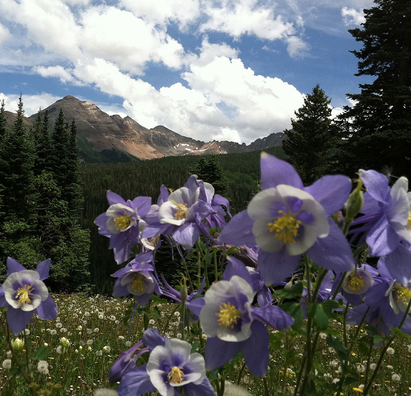 Echo Basin Cabin and RV Resort - Mancos, Colorado - glamping.directory