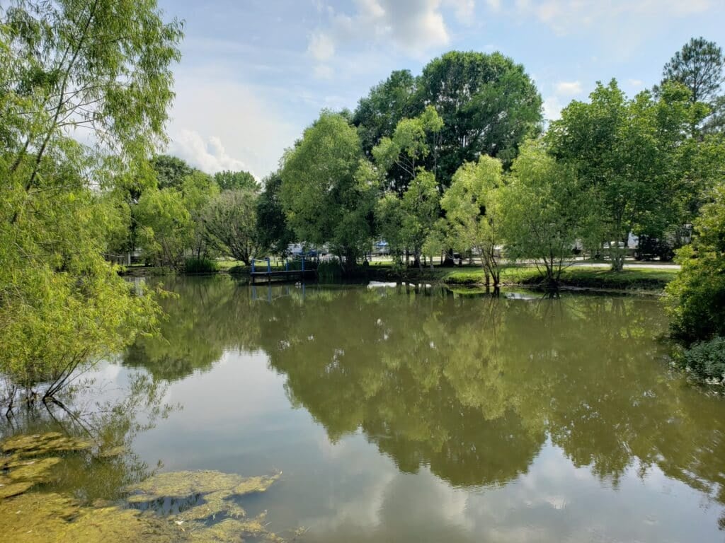 Shady Acres RV Community (Bay Saint Louis, Mississippi) - Bay St Louis, Mississippi - glamping.directory
