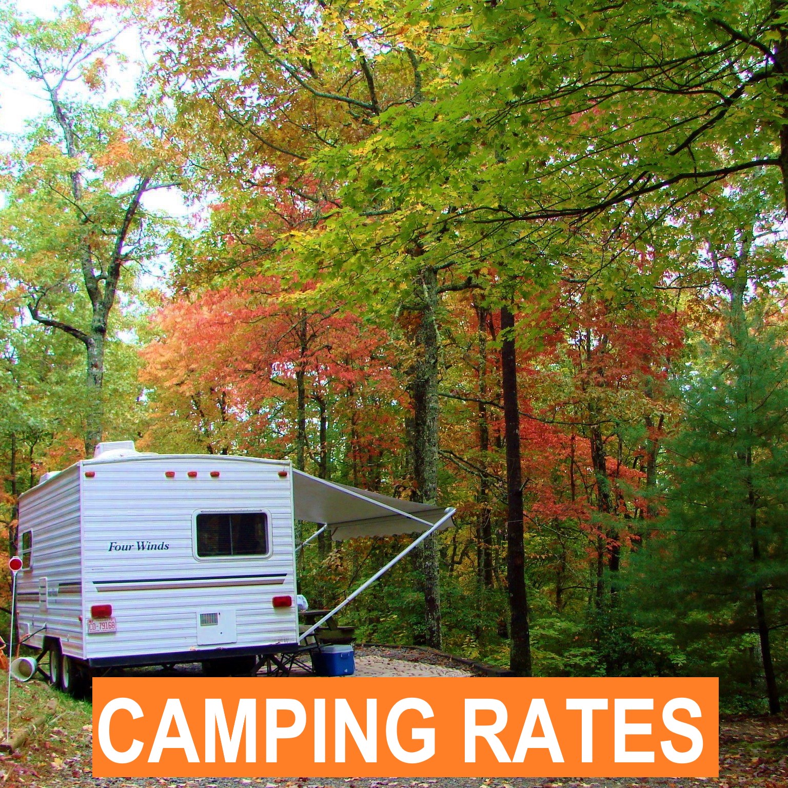 Ash Grove Mountain Cabins & Camping - Brevard, North Carolina - glamping.directory