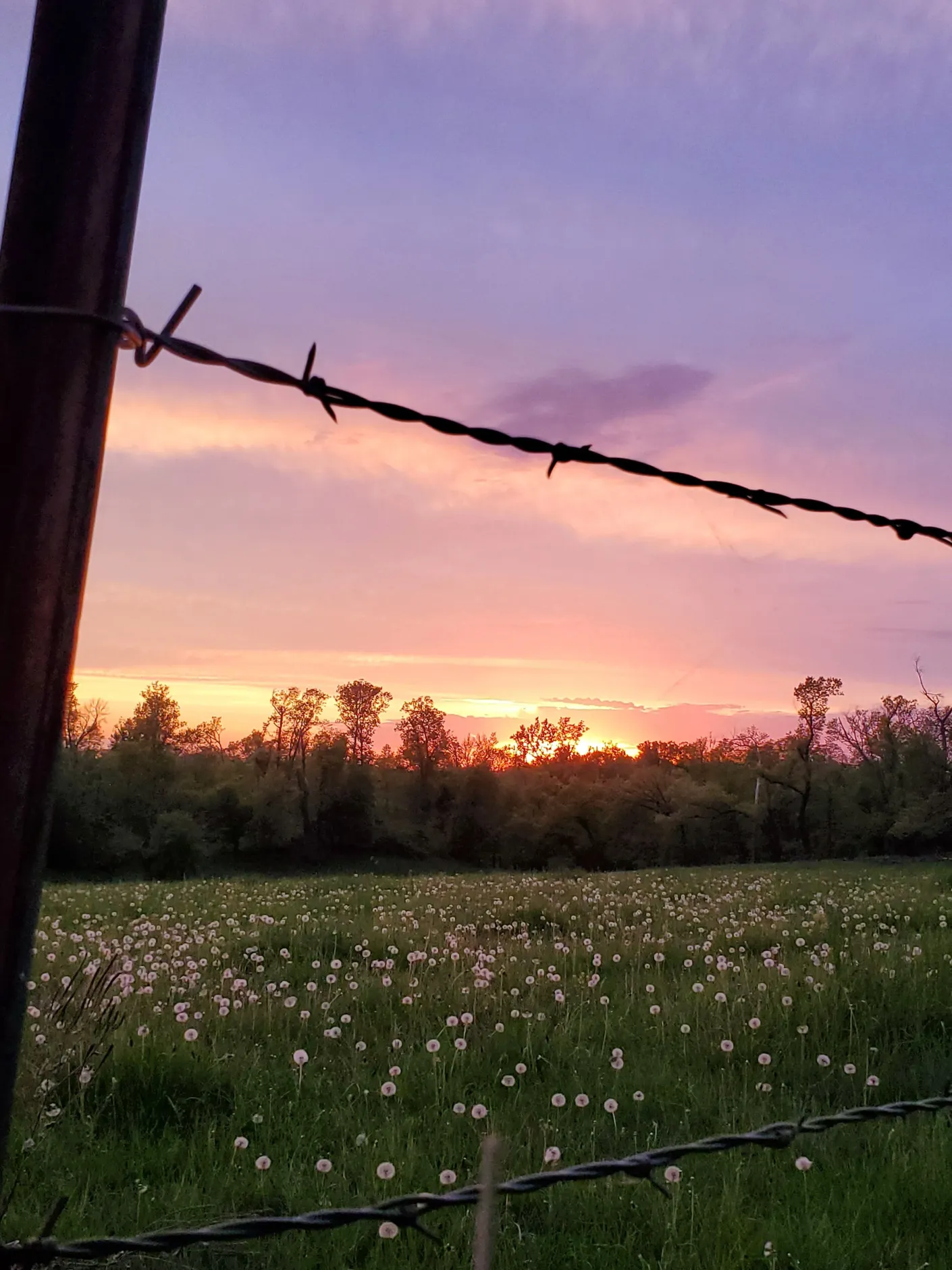 Rusty Ridge Campground - Toledo, Iowa - glamping.directory