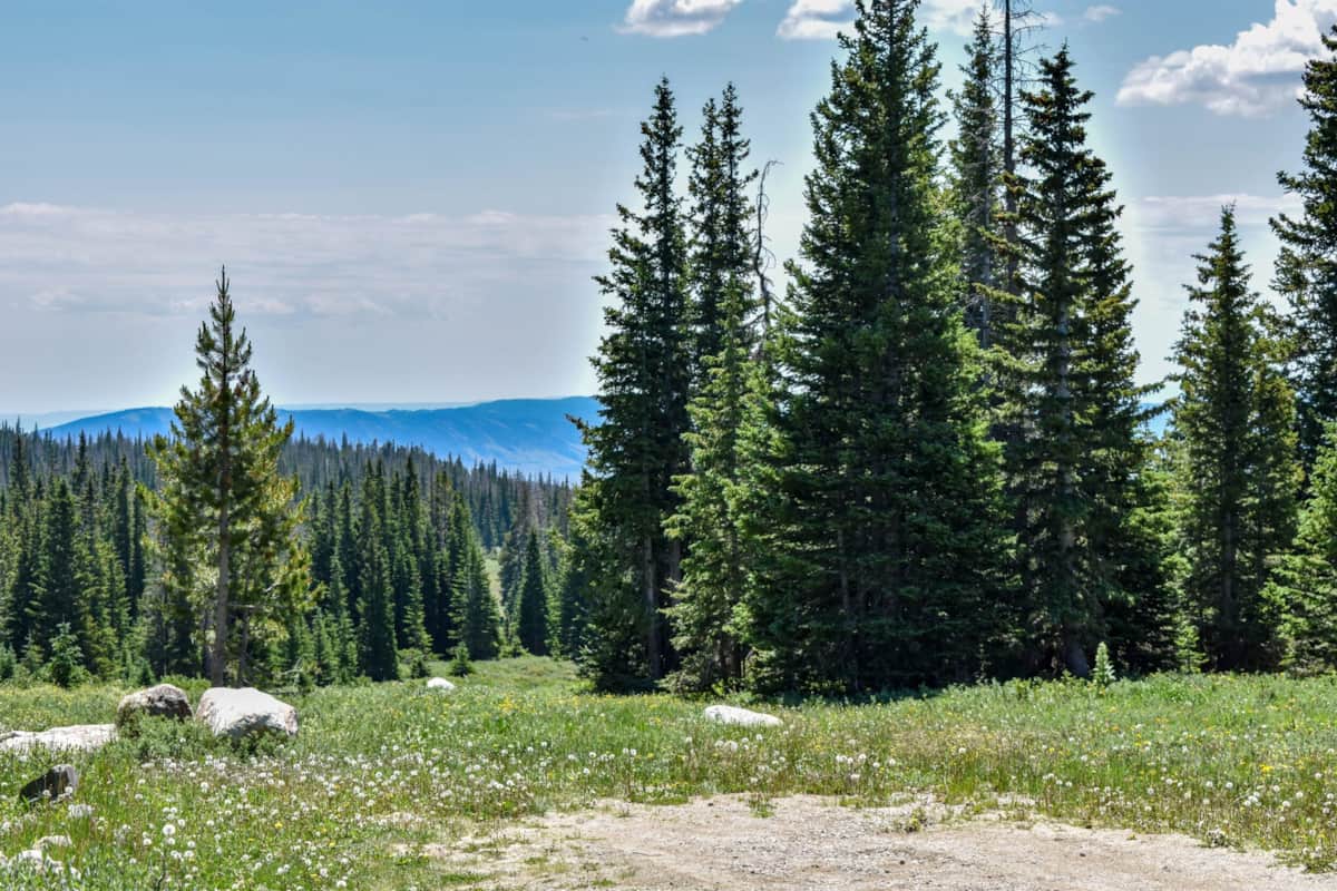 Lucky Enough Outdoors - Centennial, Wyoming - glamping.directory