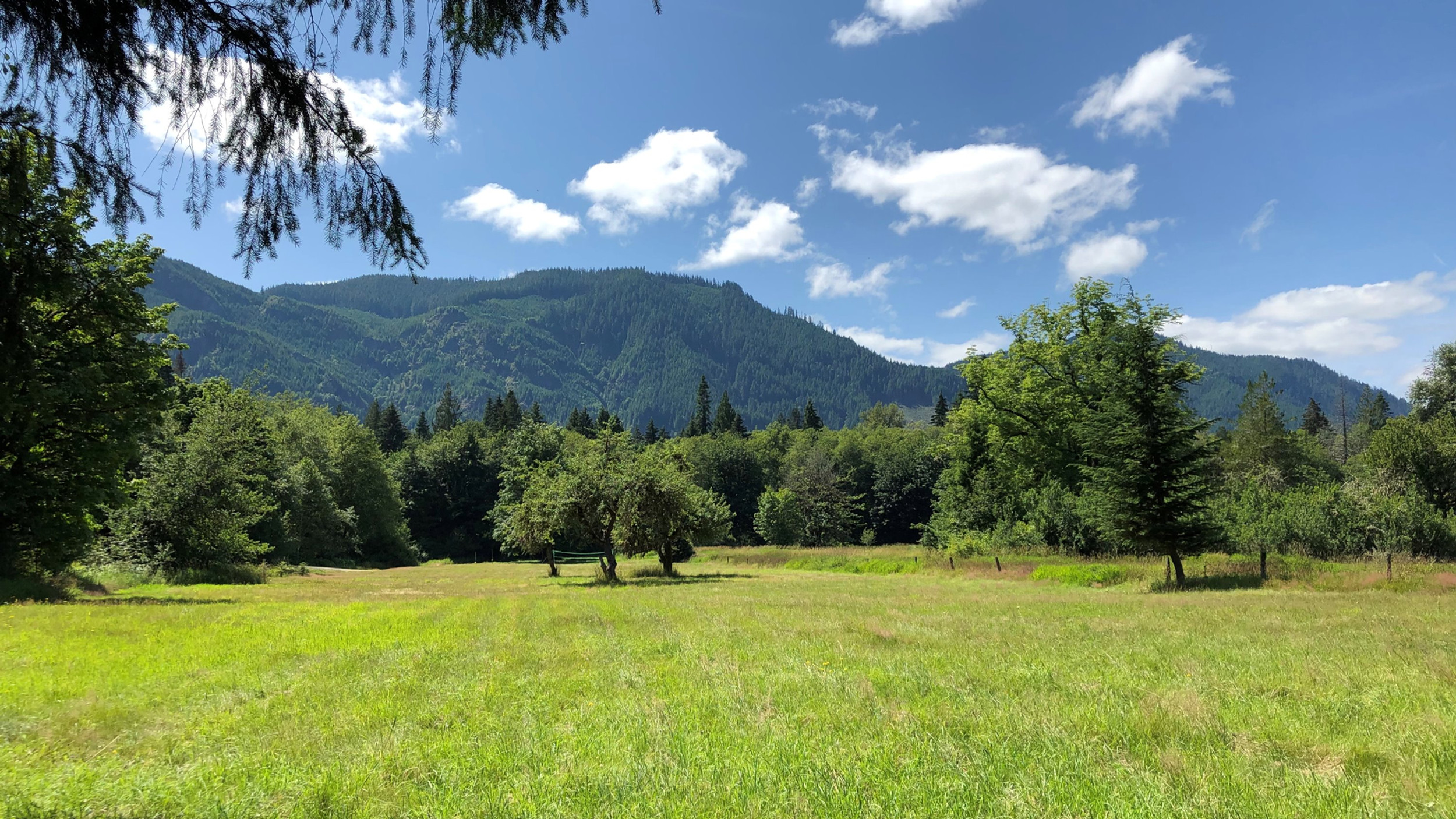 Elkamp - Mineral, Washington - glamping.directory