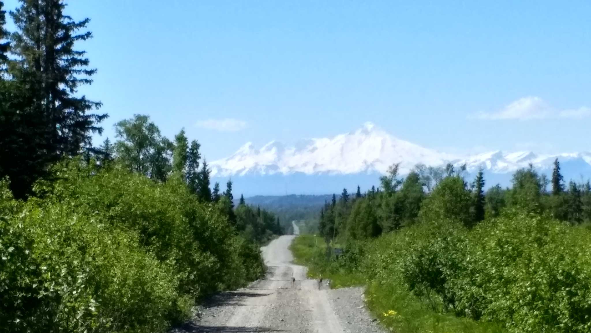 All Seasons Campground and Cabins - Ninilchik, Alaska - glamping.directory